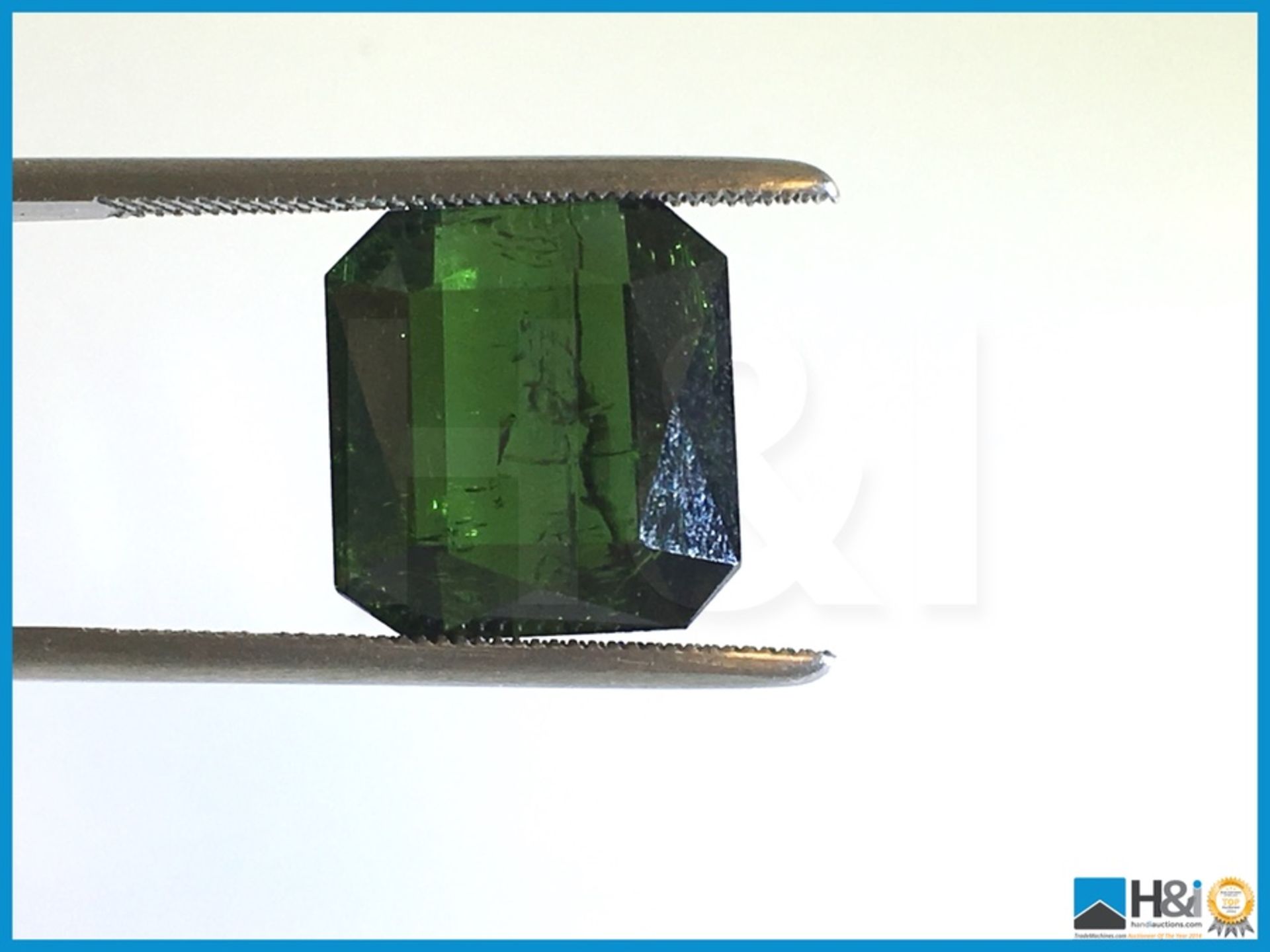 9.90ct Natural Tourmaline. Octagon Cut in Green. Transparent With GIL Certificate. Size: 12.53x11. - Bild 4 aus 5