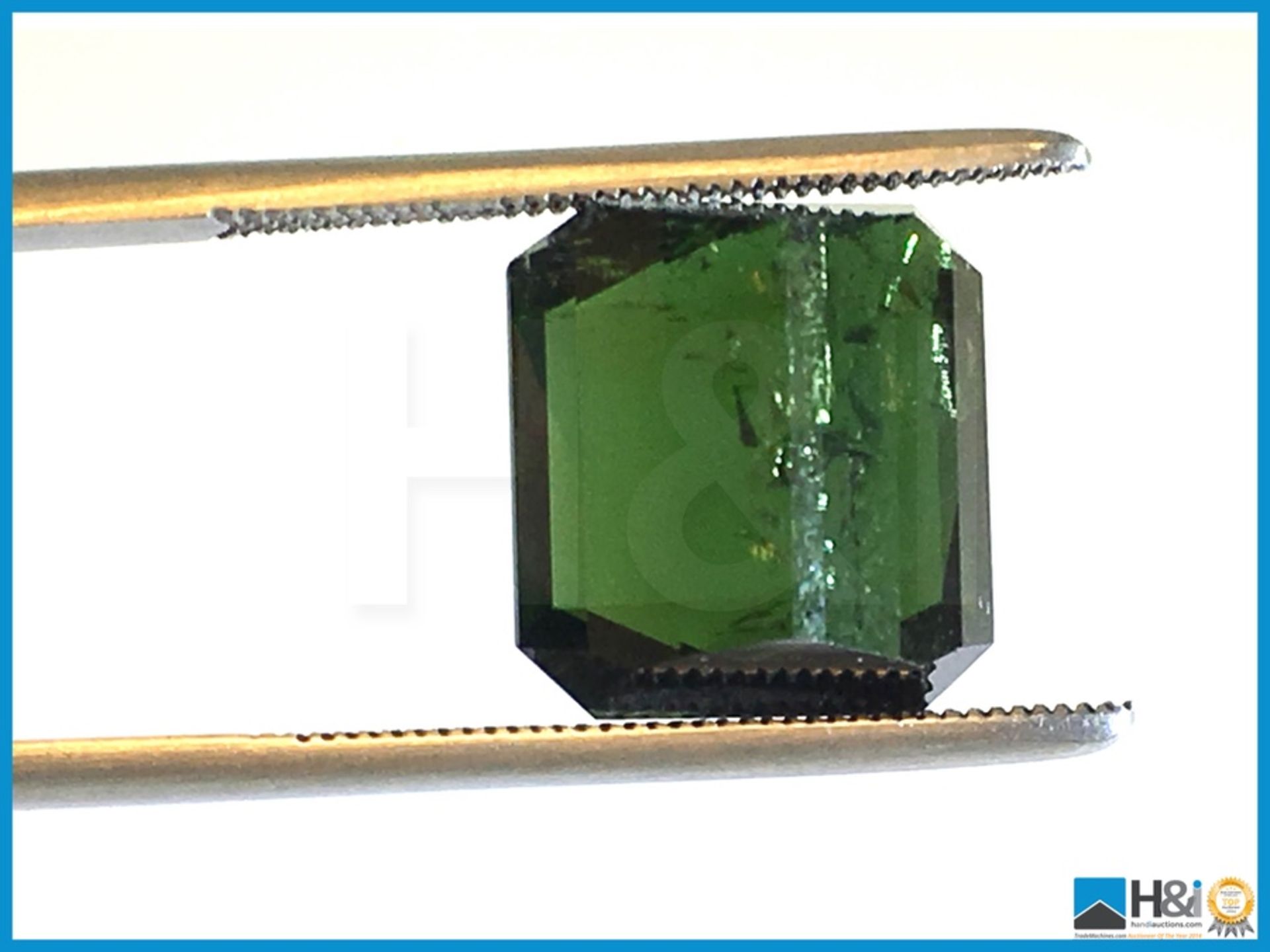 9.90ct Natural Tourmaline. Octagon Cut in Green. Transparent With GIL Certificate. Size: 12.53x11. - Bild 5 aus 5