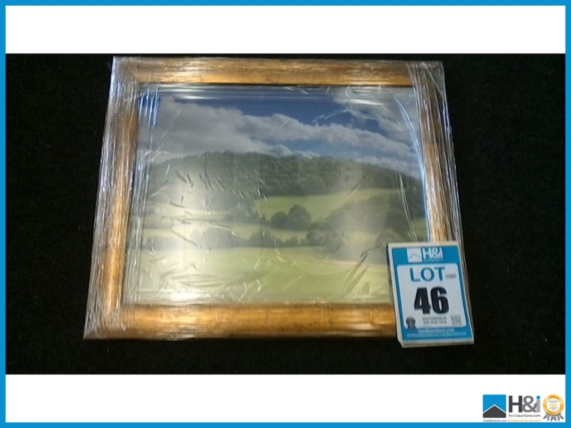NEW DESIGNER RUSTIC COPPER METALIC FINISH FRAME DISPLAYING A LANDSCAPE DIMENSIONS: 60X50 CM RRP: £