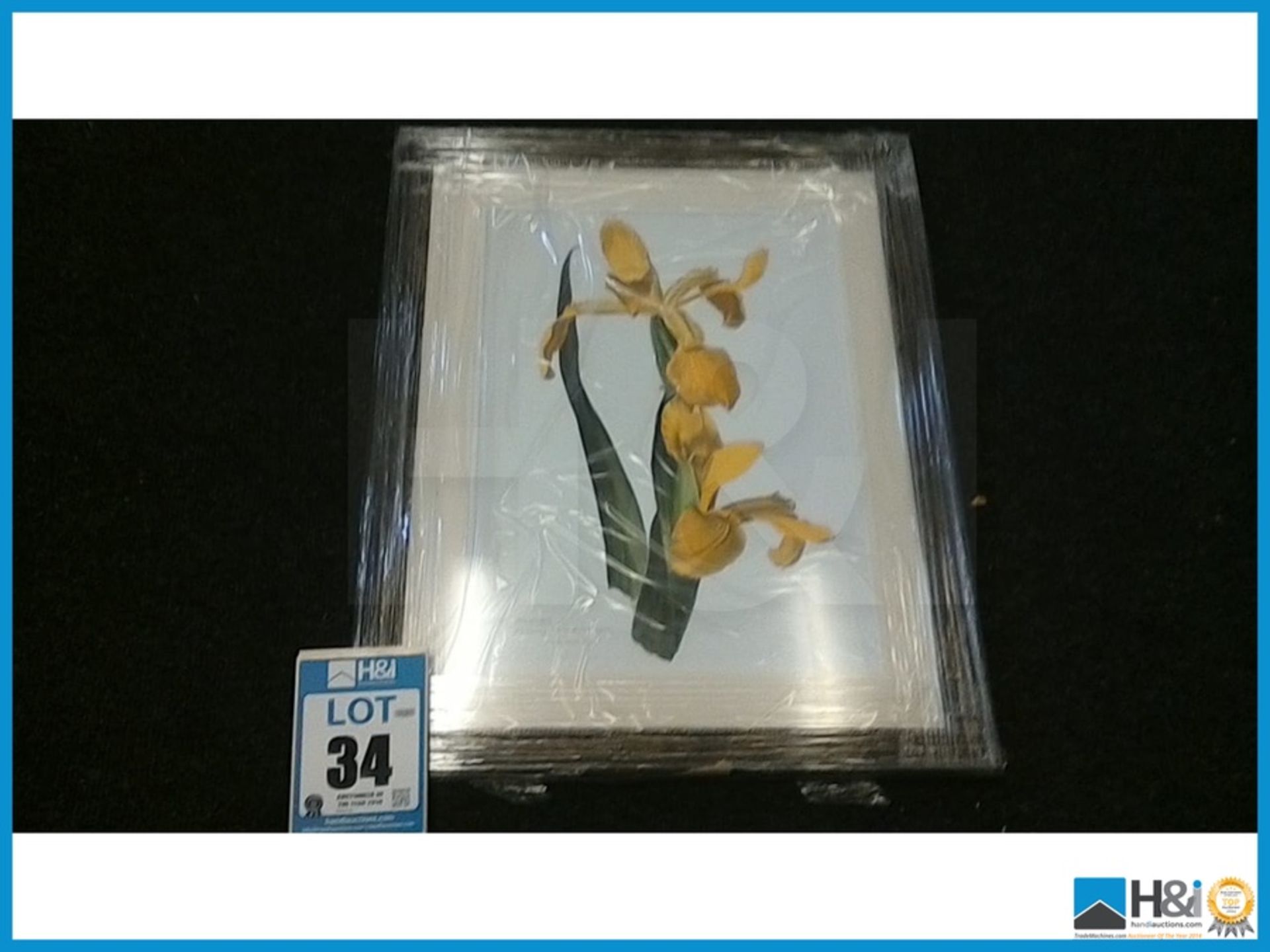 NEW DESIGNER CLASSICAL BROWN DISPLAYING A STILL LIFE OF A FLOWERS DIMENSIONS: 68X55 CM RRP: £ 299