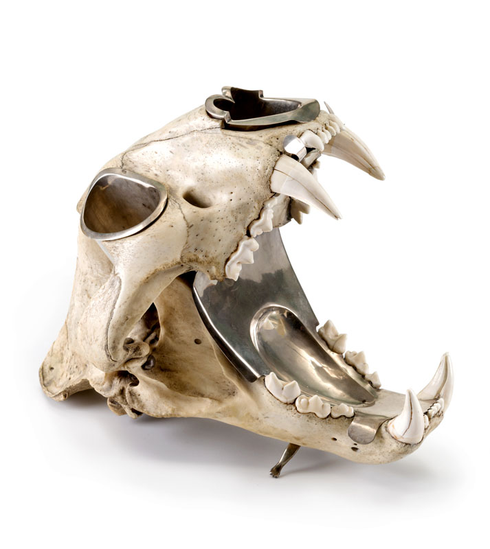Crâne de léopard monté en métal argenté- h. 28 cm (manque 1 dent)