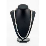 Collier 1 rang de perles de culture grises (env. 7 mm)- fermoir en or 750- long. 55 cm