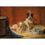 Charles II van den Eycken (1859-1923)- Petits bichons- huile sur panneau- signée- 17-5x24 cm  /