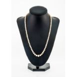 Collier 1 rang de perles de culture en chute (env. 4-7 mm) fermoir en or gris 750- long. 46 cm