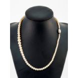 Collier 1 rang de perles de culture en chute (env. 3-7 mm)- fermoir en or gris 750- long.43 cm