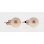 Paire de clous d'oreilles en or gris 750 sertie de perles des mers du Sud