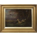 P Reinagle ARA. A signed oil on canvas - Dog chasing a woodcock in a woodland, gilt framed - 9in.