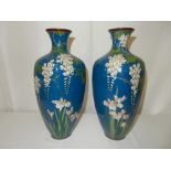 A pair of Cloisonne vases, blue ground decorated wisteria - 12in. high