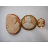 A carved shell cameo depicting head and shoulders of a classical gentleman, in a gilt metal frame, a