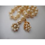 A row of pearls with 9ct. gold and pearl set clasp and a 9ct. gold and pearl set pendant