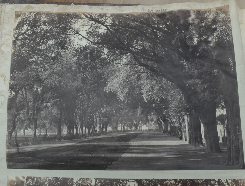 Victorian Album of 100 Albumen Prints of mainly Hong Kong and Java signed by Floyd-Dutton-Miller. - Bild 39 aus 98