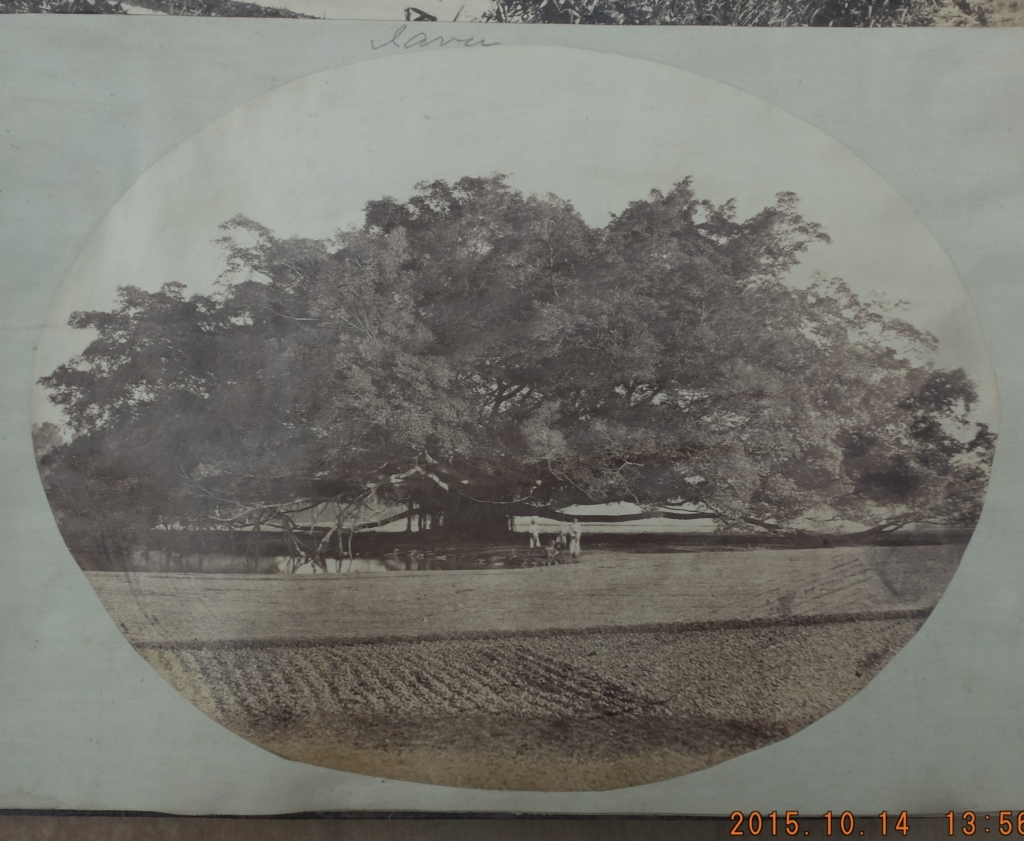 Victorian Album of 100 Albumen Prints of mainly Hong Kong and Java signed by Floyd-Dutton-Miller. - Bild 84 aus 98