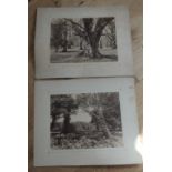 Pair of Victorian Albumen Prints of the New Forest by J.G.Short-Lyndhurst 368mm x 281mm.