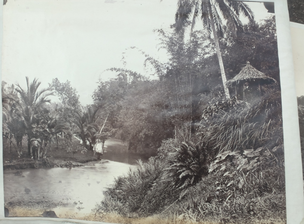 Victorian Album of 100 Albumen Prints of mainly Hong Kong and Java signed by Floyd-Dutton-Miller. - Bild 28 aus 98