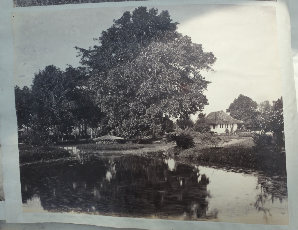 Victorian Album of 100 Albumen Prints of mainly Hong Kong and Java signed by Floyd-Dutton-Miller. - Bild 57 aus 98