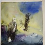 Sophie Knight original Watercolour of Eagles - 22" x 21 1/2"