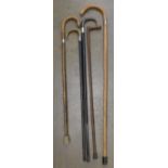 Four walking sticks with silver collars and a walking cane