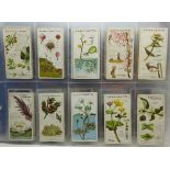 Fourteen sets of cigarette cards, Wills, Players,