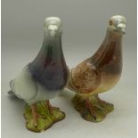 Two Beswick models of pigeons, 1383,