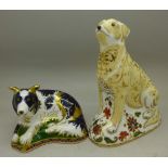 A limited edition Royal Crown Derby Border Collie paperweight and a Labrador paperweight,