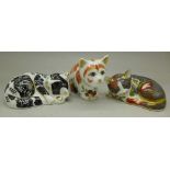 Three Royal Crown Derby paperweights, Catnip Kitten,