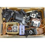 A box of folding and other cameras including Kodak and Polaroid