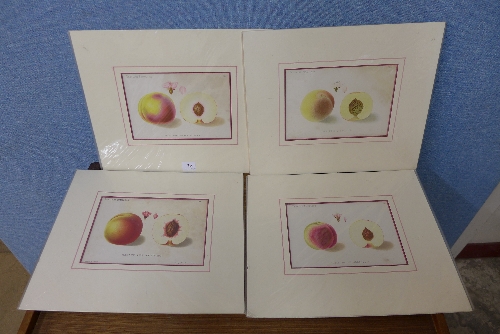 A set of four German fruit prints by W.