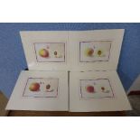 A set of four German fruit prints by W.