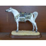 A Border Fine Arts Horse Breeds A201 Arab Stallion limited edition figure,