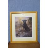 A limited edition print of a black Labrador