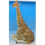 A U.S.S.R. model of a giraffe, ear restored, 29.