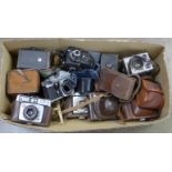 A collection of eighteen cameras,