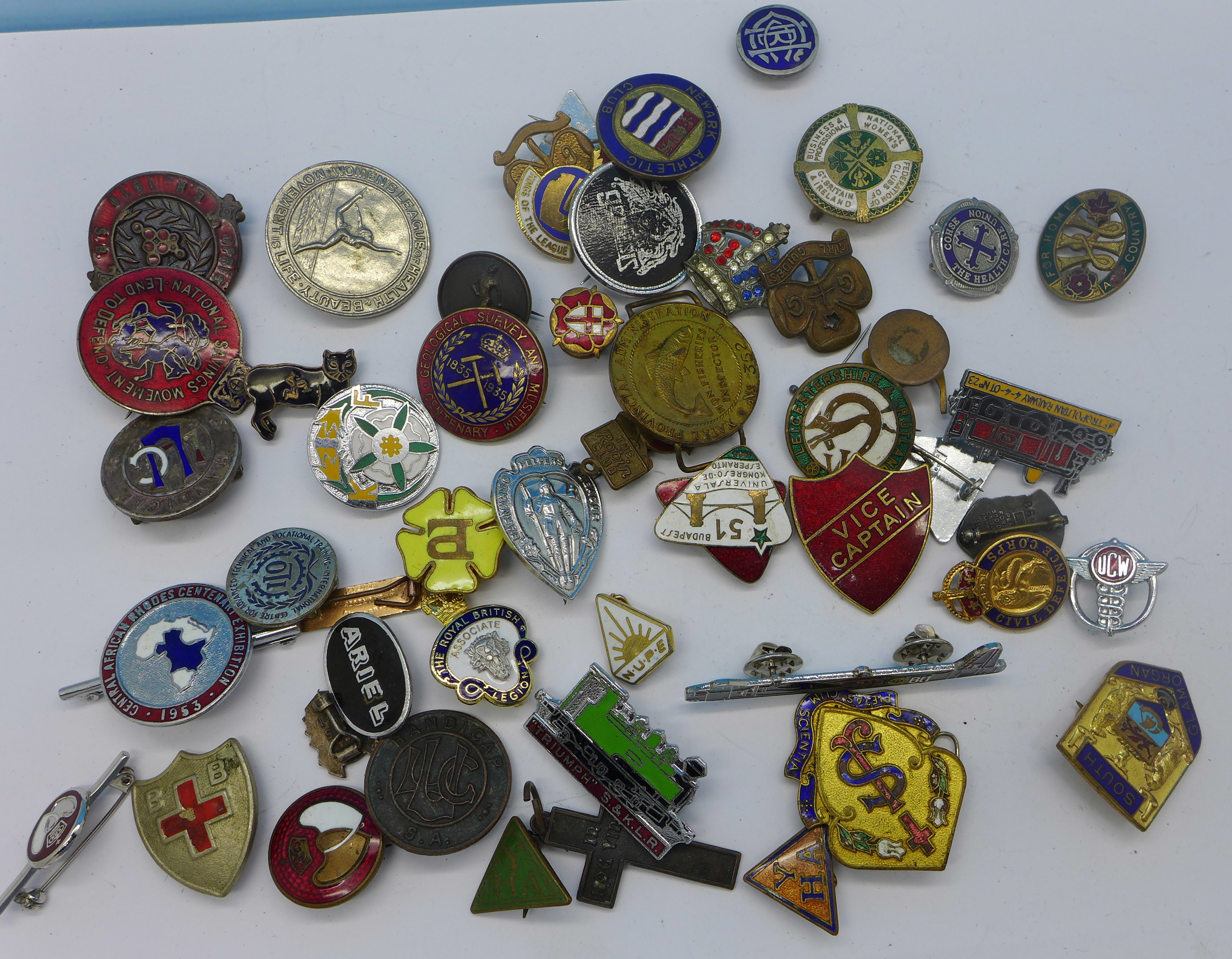 A collection of enamel badges