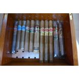 A humidor and eleven cigars