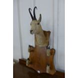 A taxidermy antelope gun rack