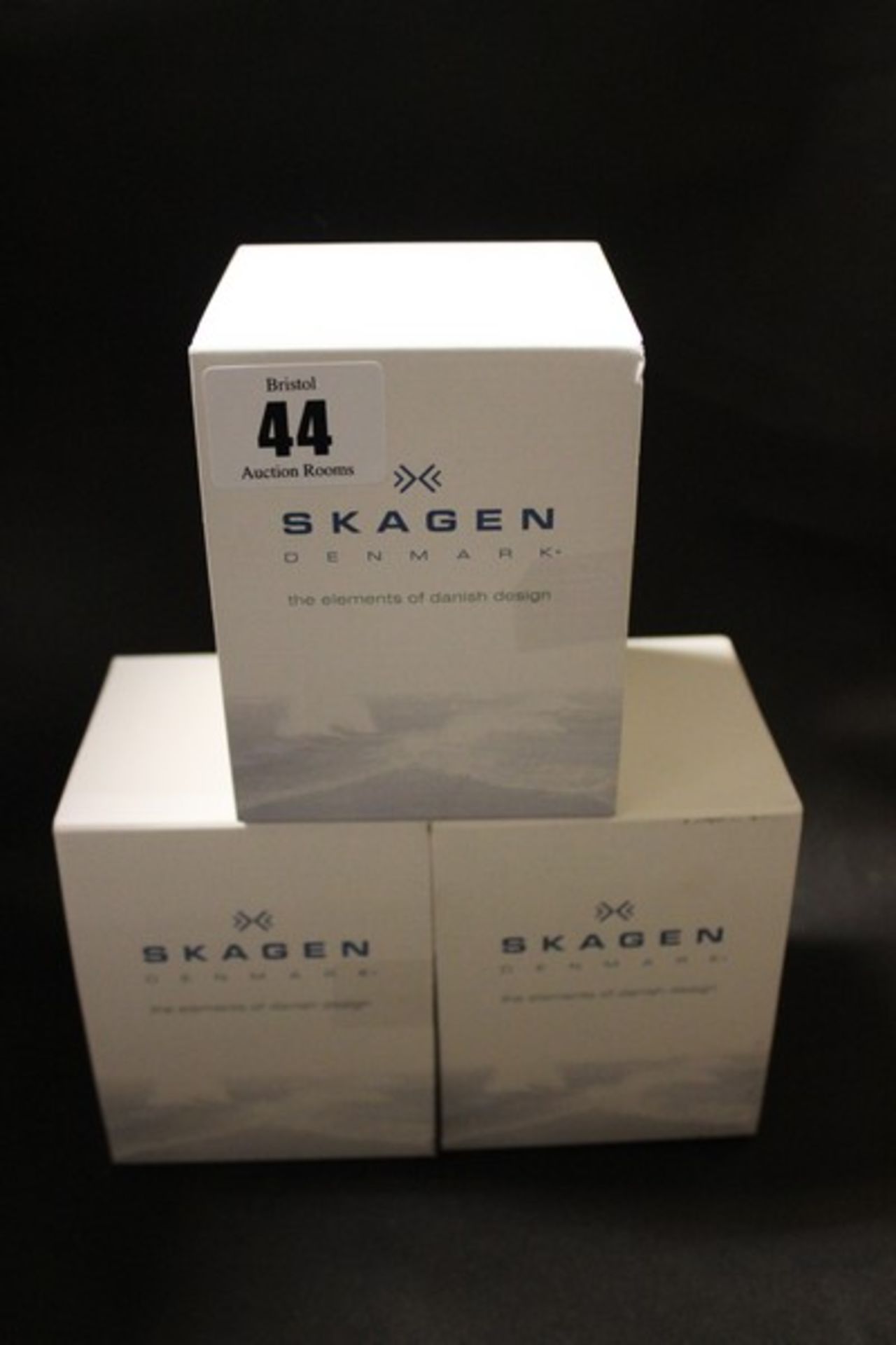 Three ladies Skagen watch 358SR (Boxed as new).