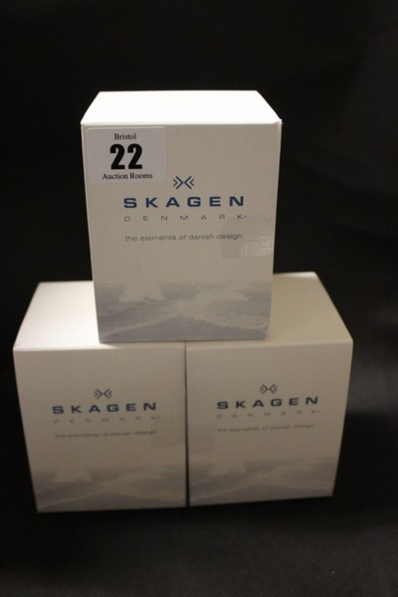 Three ladies Skagen watch 358SR (Boxed as new).