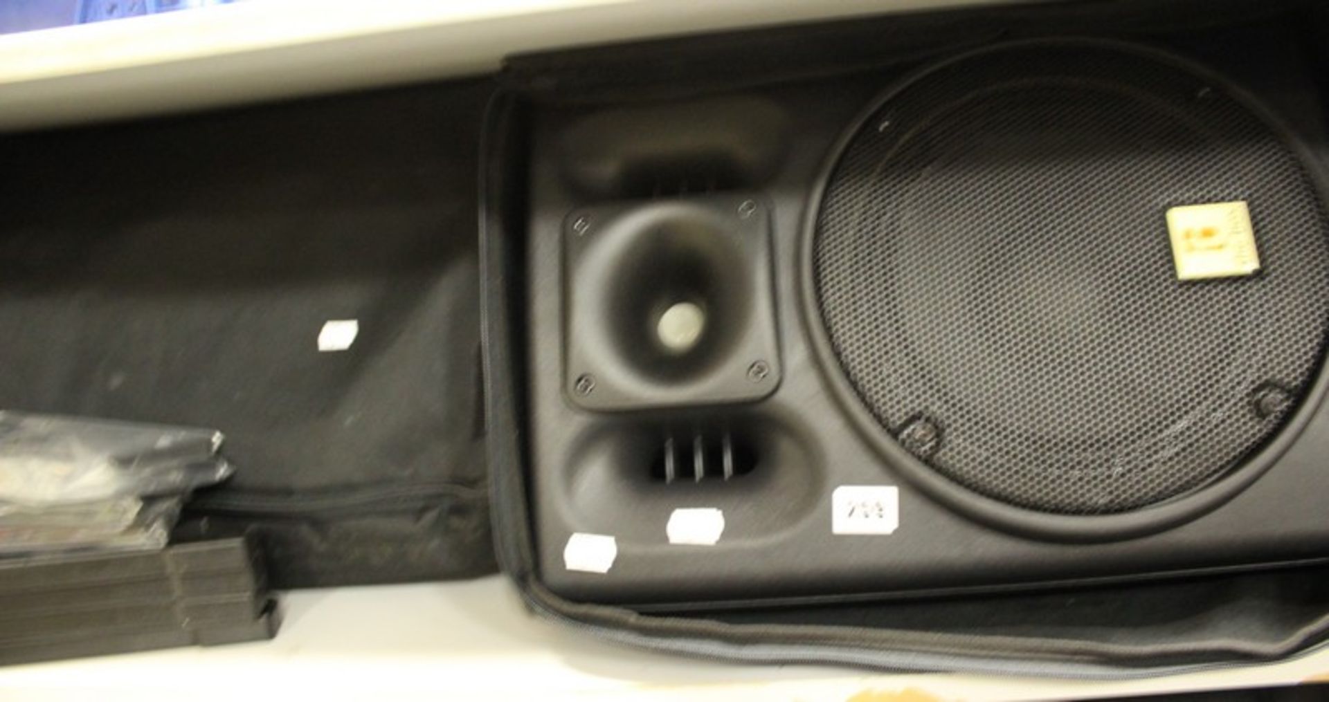 A pair of Thoman Palloa Active Powered Sow+Sow 10" woofers in protective cases with stage monitor