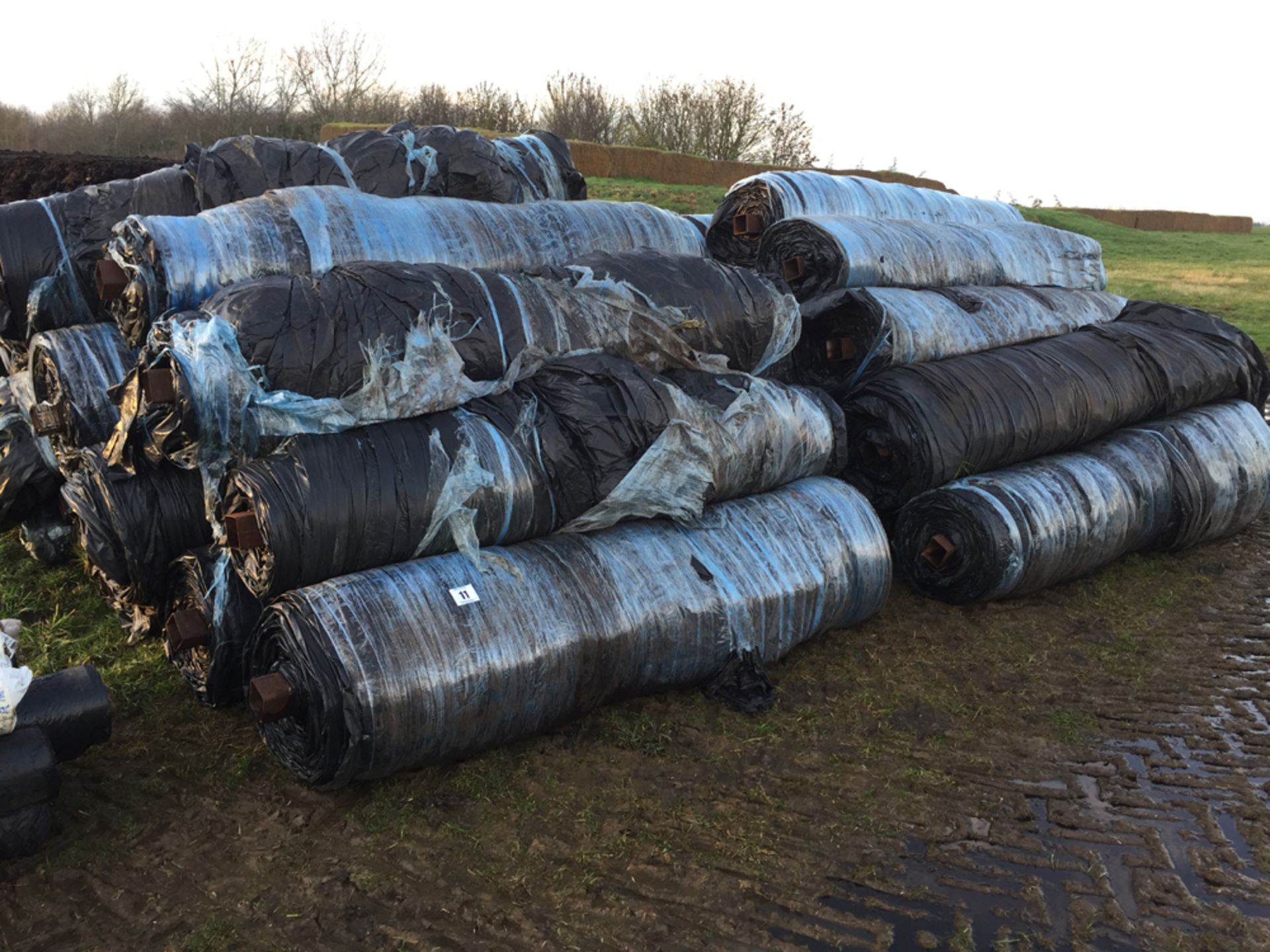 31x Rolls used 12.8m x 36m black silage sheet