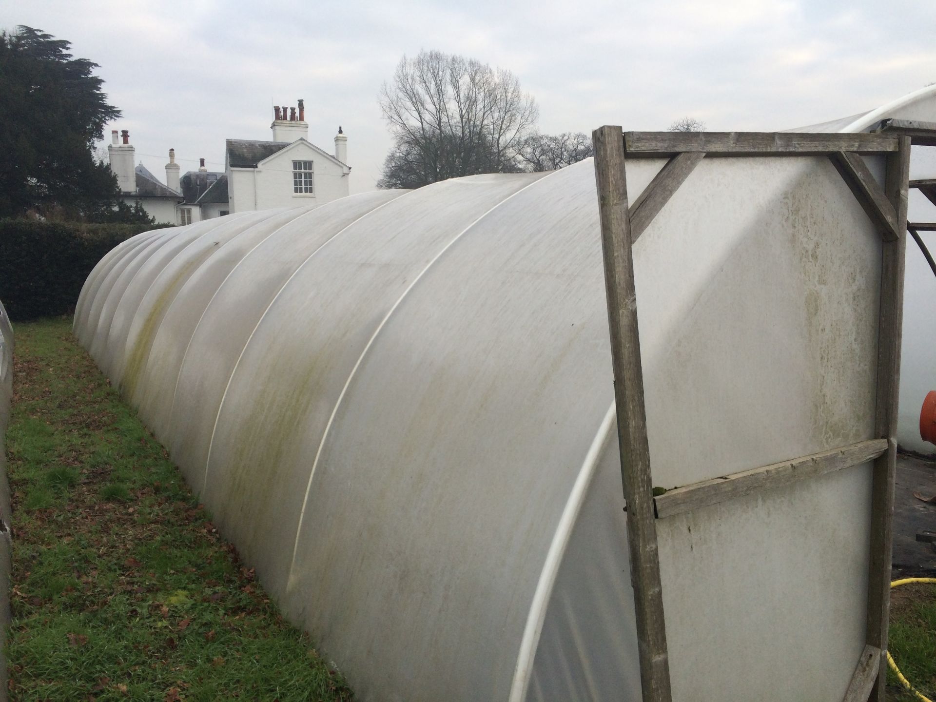 18x60ft Poly Tunnel - BUYER TO DISMANTLE & REMOVE - Image 3 of 3