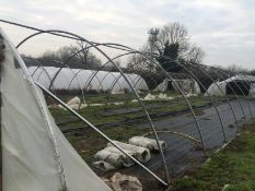 21x100 ft Poly Tunnel frame - BUYER TO DISMANTLE & REMOVE