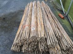 Large qty of 8ft Bamboo canes