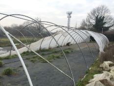 21x100 ft Poly Tunnel frame - BUYER TO DISMANTLE & REMOVE