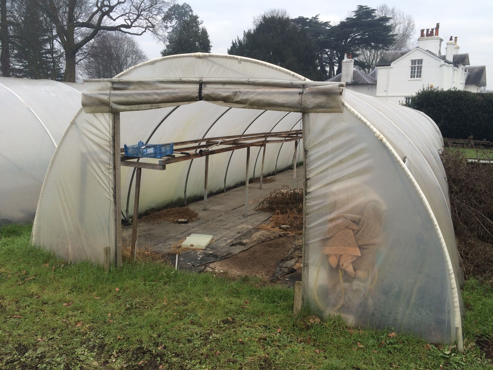 13x65ft Poly Tunnel - BUYER TO DISMANTLE & REMOVE - Image 4 of 4