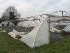 21x100 ft Poly Tunnel frame - BUYER TO DISMANTLE & REMOVE