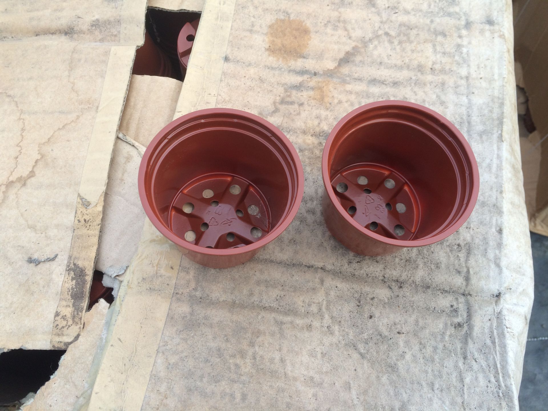 2 boxes 9cm aeroplas pots approx 2, - Image 2 of 2