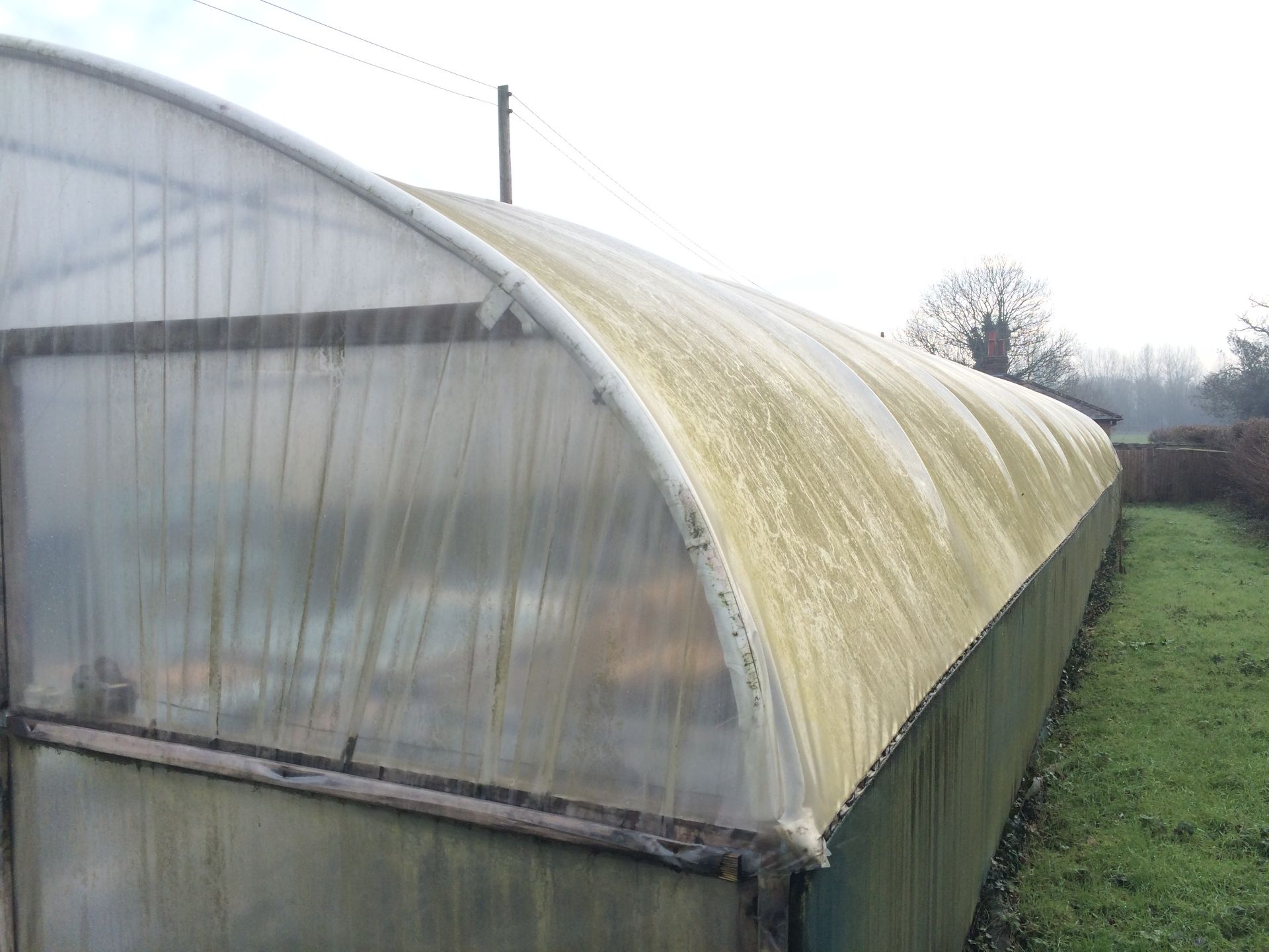 80x24ft Poly Tunnel - BUYER TO DISMANTLE & REMOVE - Image 3 of 4