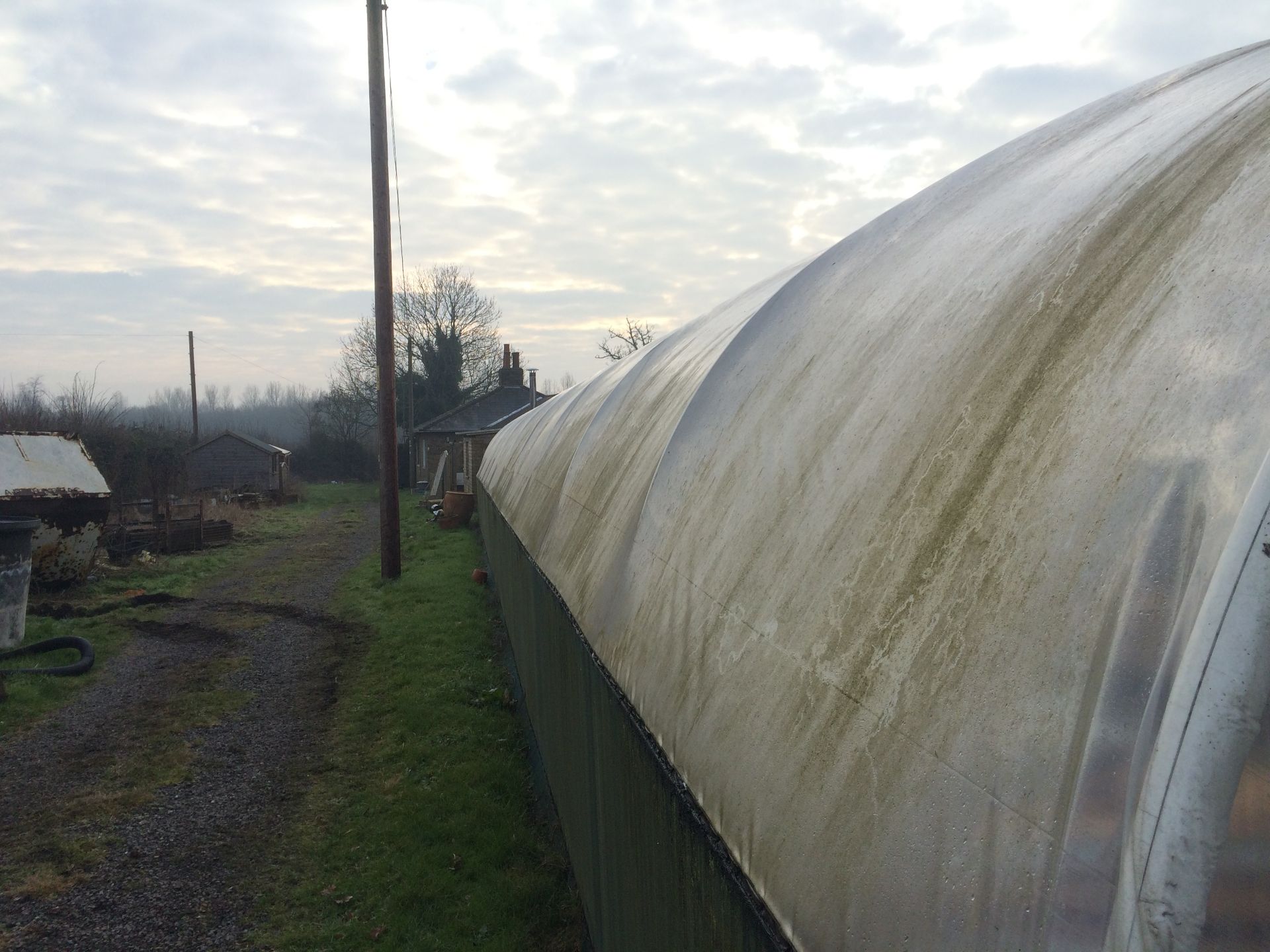 80x24ft Poly Tunnel - BUYER TO DISMANTLE & REMOVE - Image 4 of 4