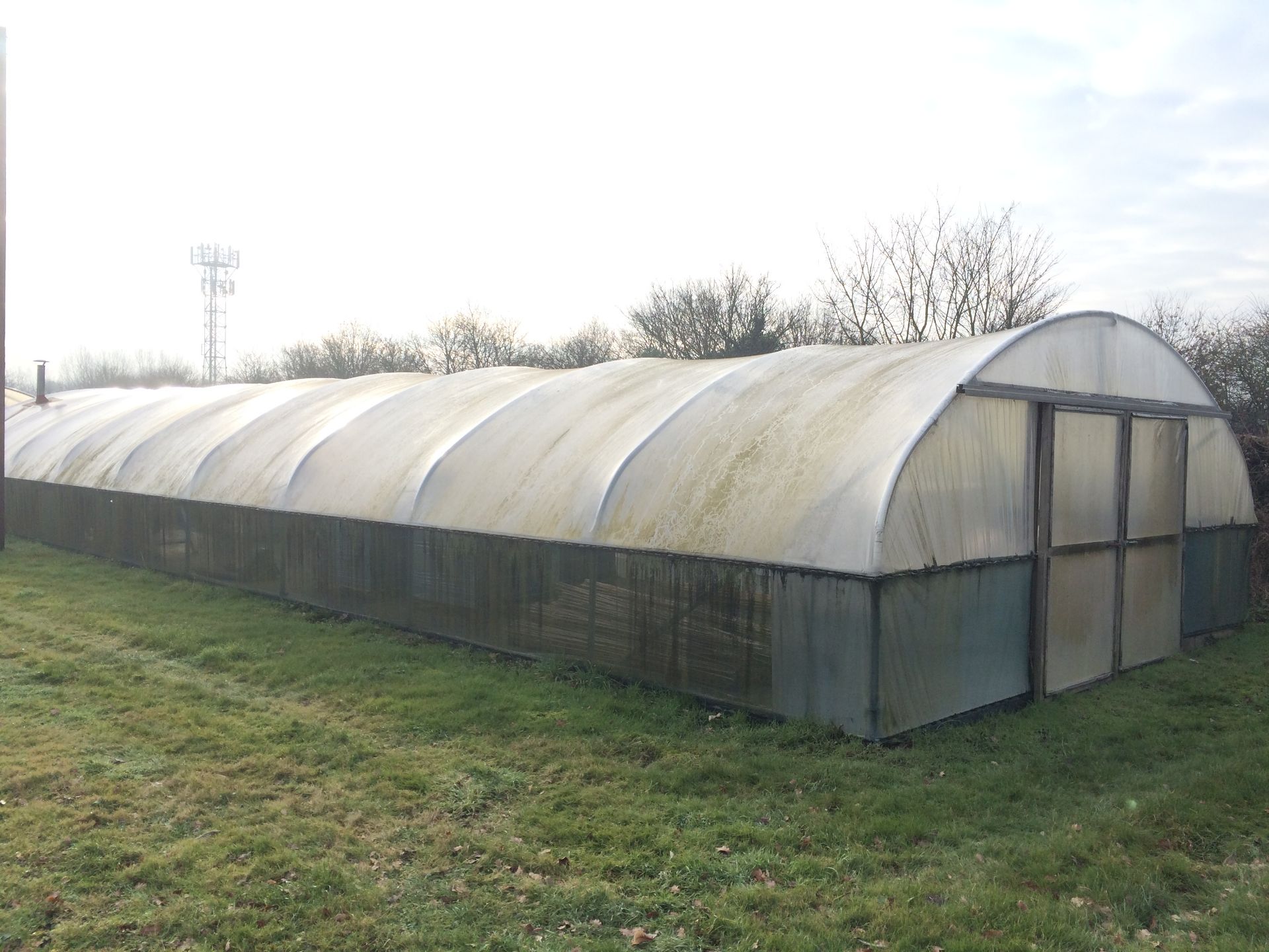 72X21ft Poly Tunnel - BUYER TO DISMANTLE & REMOVE