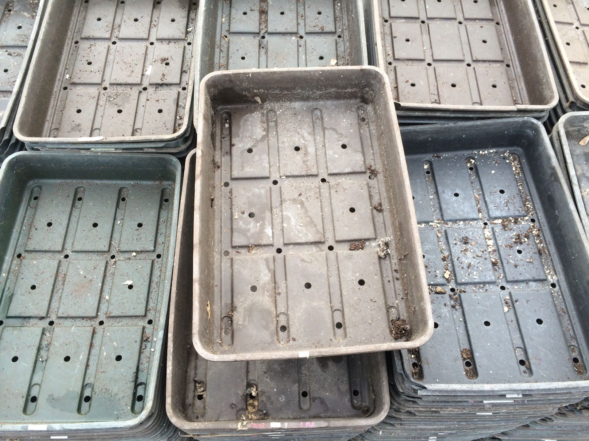 Qty used seed trays - Image 2 of 2